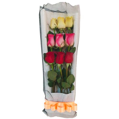 Ramo de 9 rosas multicolor en formacion rectangular envuelto en papeles decorativos.